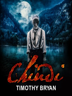 cover image of Chindi